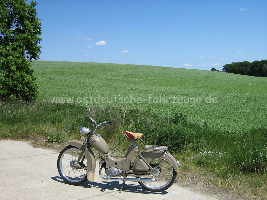 IMG_2900a.jpg