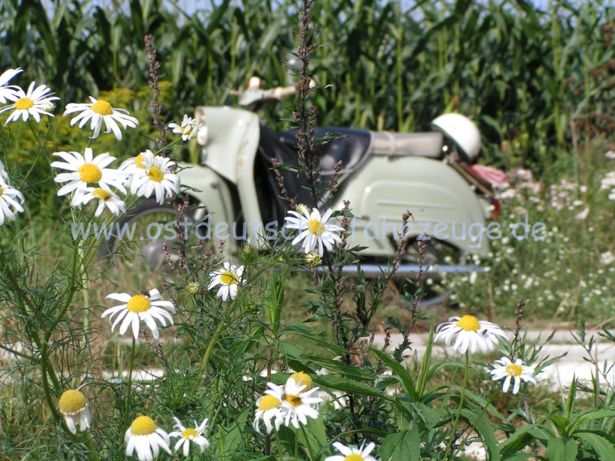 PICT0126.JPG