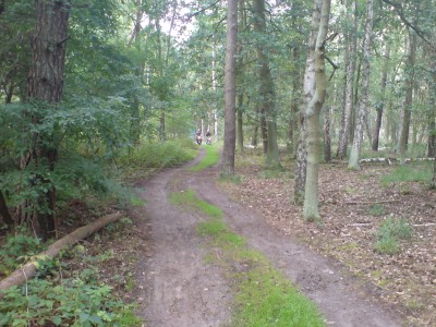 DSC00033.JPG