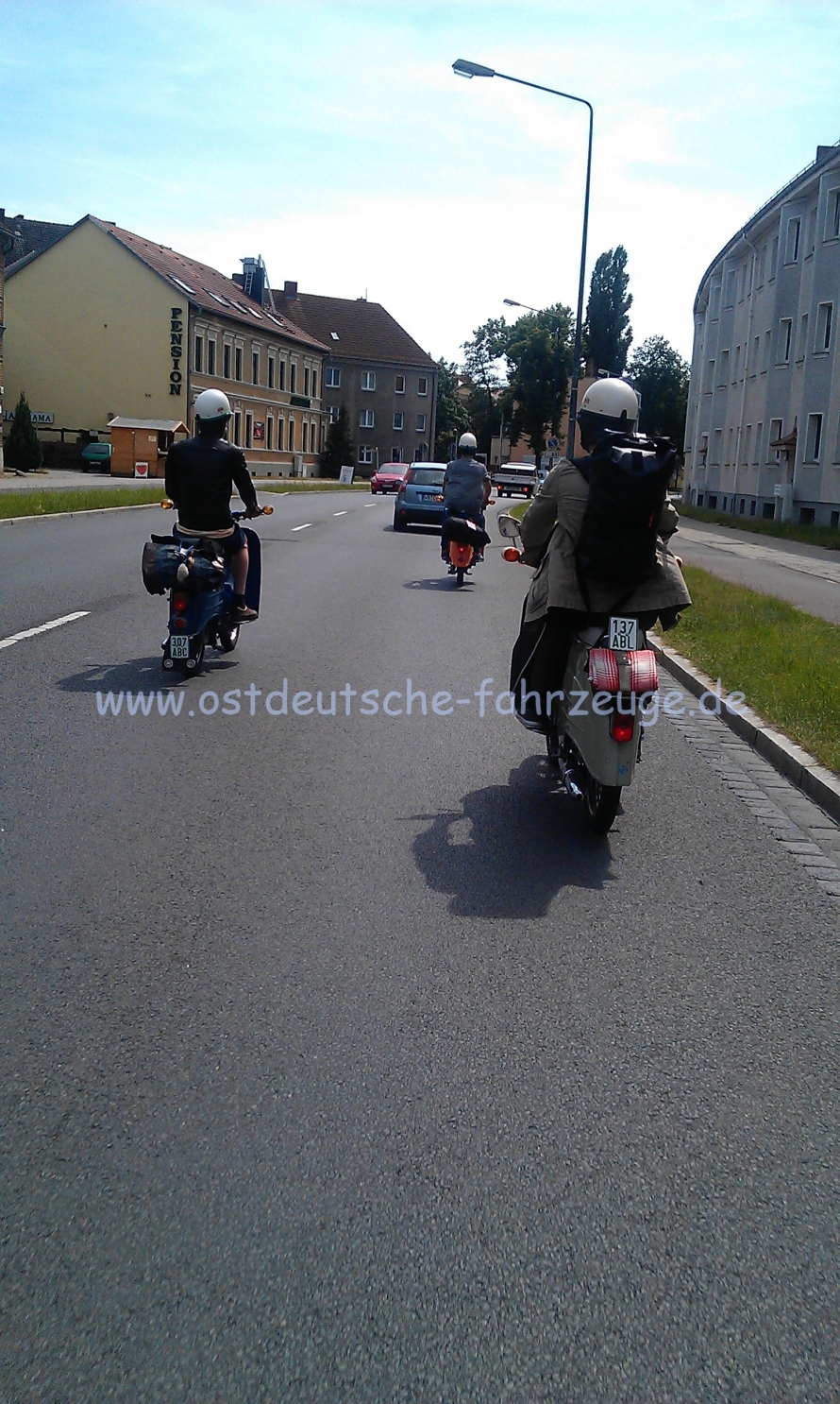 Schwalben auf dem Zug nach Süden.