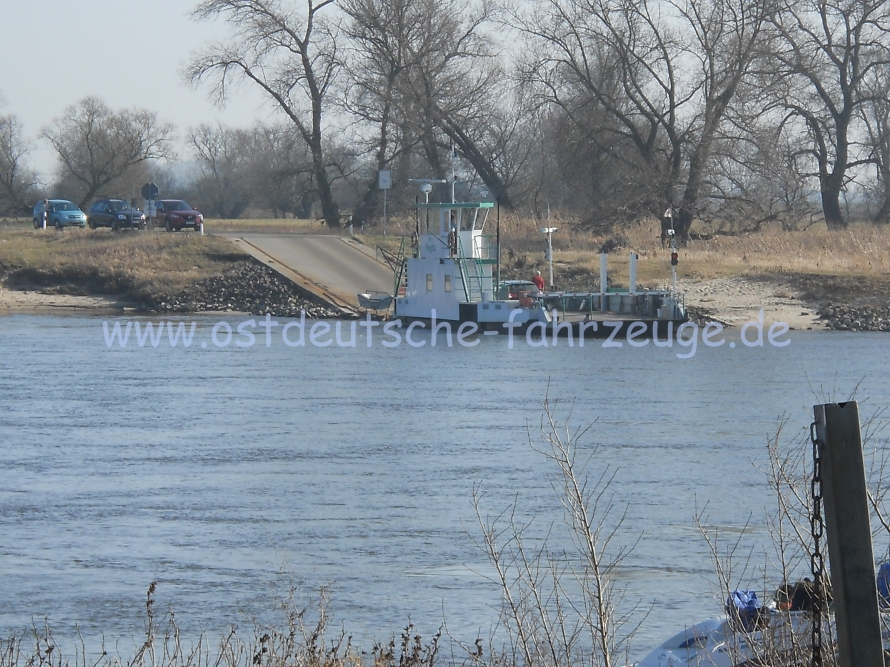 Hier sind Paddler unterwegs auf der Elbe