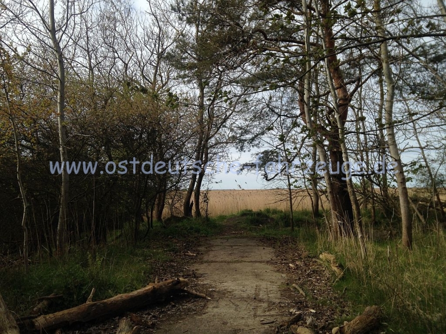 Und dann ging es weiter zum nördlichsten Punkt der Insel Usedom