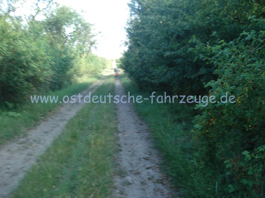 DSC00655.JPG