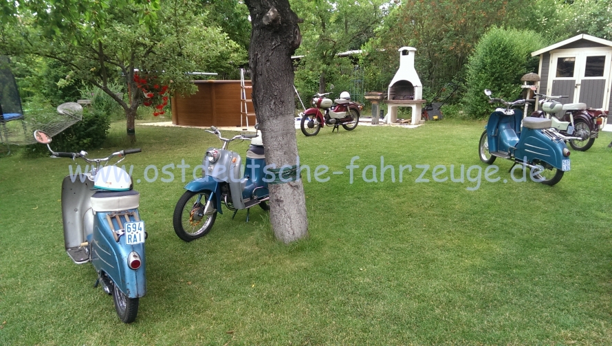 Die Mopeds im Garten