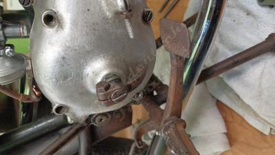 IMG_20240903_124212_937.jpg