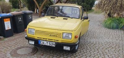 20250329_143803.jpg